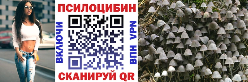 купить наркоту  Избербаш  Галлюциногенные грибы прущие грибы 
